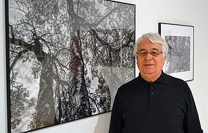 David Balsells