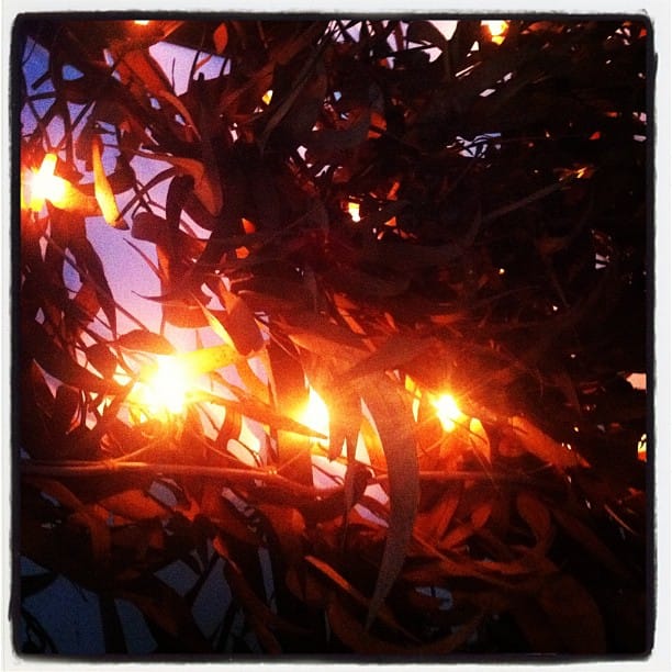 #trinxatdeluxe, tancament del segon any